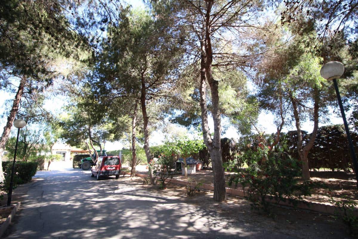 4 soveværelse Finca/Landehus til salg i Dolores med swimmingpool garage - € 525.000 (Ref: 8245172)