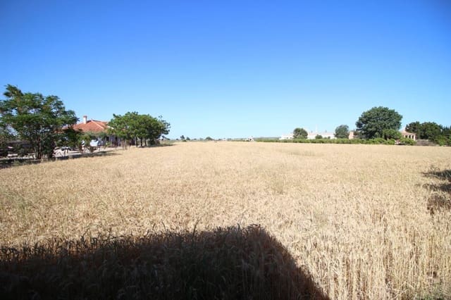 3 sypialnia Finka/Dom wiejski na sprzedaż w Dolores - 198 000 € (Ref: 9074624)