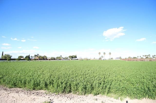 Commercial for sale in Dolores - € 119,000 (Ref: 9164835)