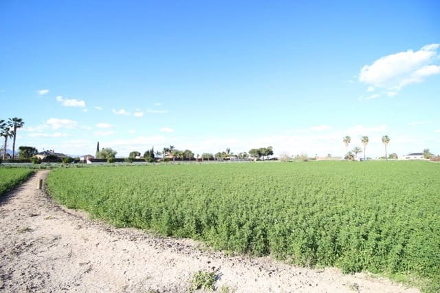 Commercial for sale in Dolores - € 119,000 (Ref: 9164835)