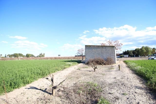 Commercial for sale in Dolores - € 119,000 (Ref: 9164835)