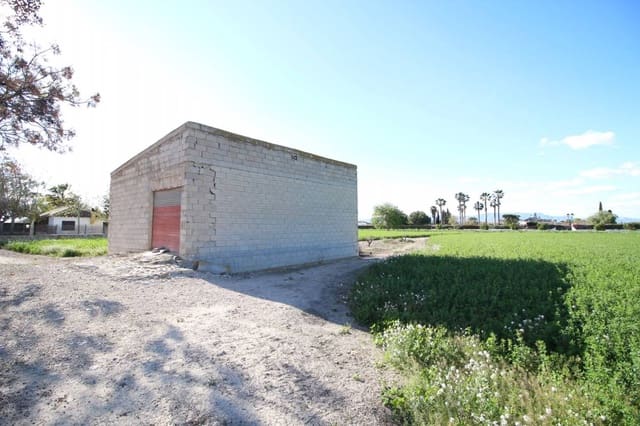 Commercial for sale in Dolores - € 119,000 (Ref: 9164835)