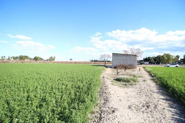 Commercial for sale in Dolores - € 119,000 (Ref: 9164835)