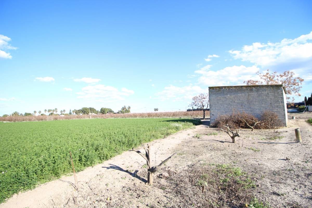 Local Commercial à vendre à Dolores - 119 000 € (Ref: 9164835)