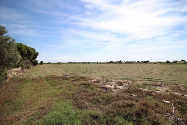 Byggegrund til salg i Dolores - € 169.137 (Ref: 9203433)