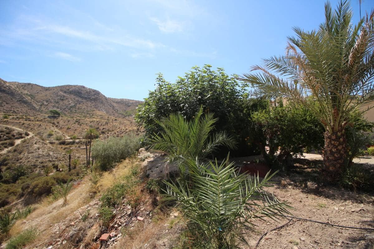 4 chambre Villa/Maison à vendre à Elche / Elx avec garage - 275 000 € (Ref: 9287184)