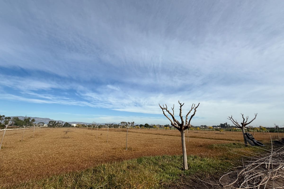 Building Plot for sale in Catral - € 110,000 (Ref: 9585145)