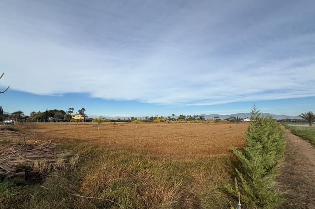 Building Plot for sale in Catral - € 110,000 (Ref: 9585145)