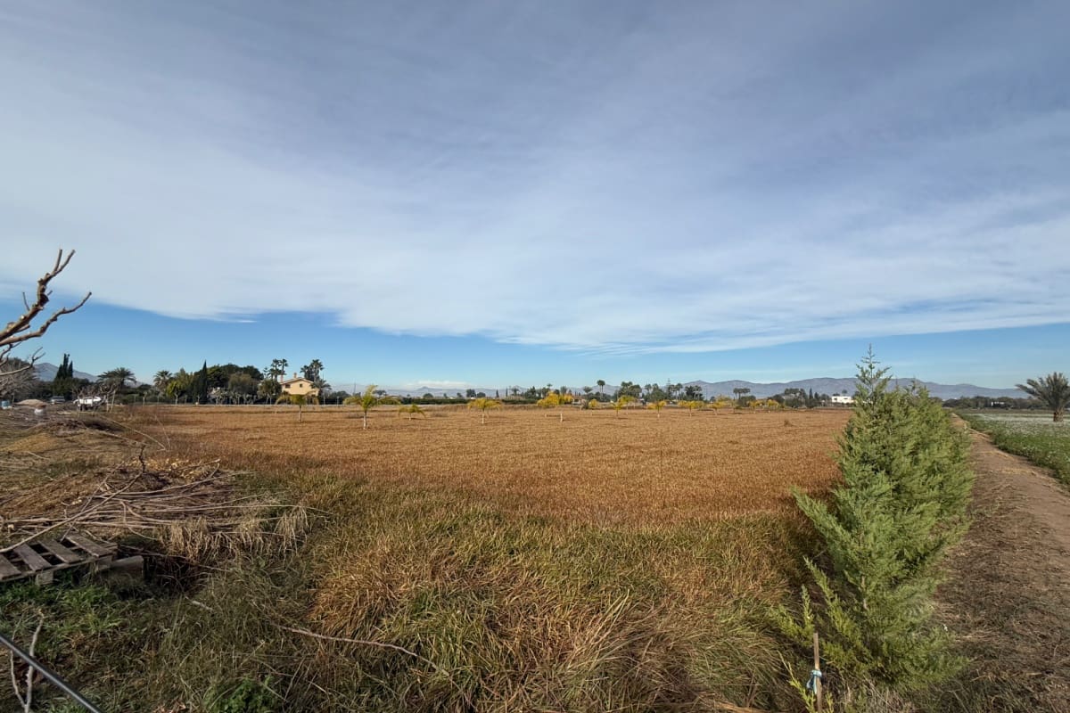 Building Plot for sale in Catral - € 110,000 (Ref: 9585145)