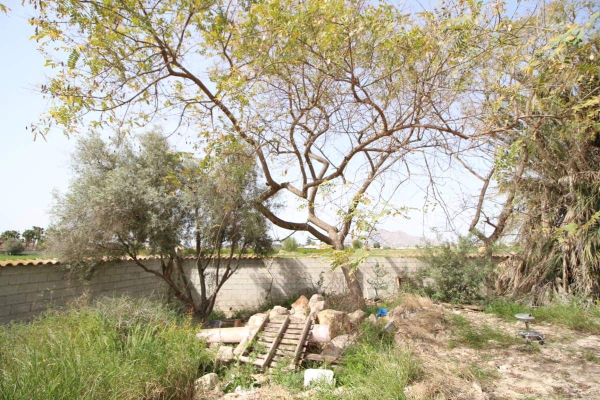 1 Zimmer Finca/Landgut zu verkaufen in Catral - 127.000 € (Ref: 9762288)