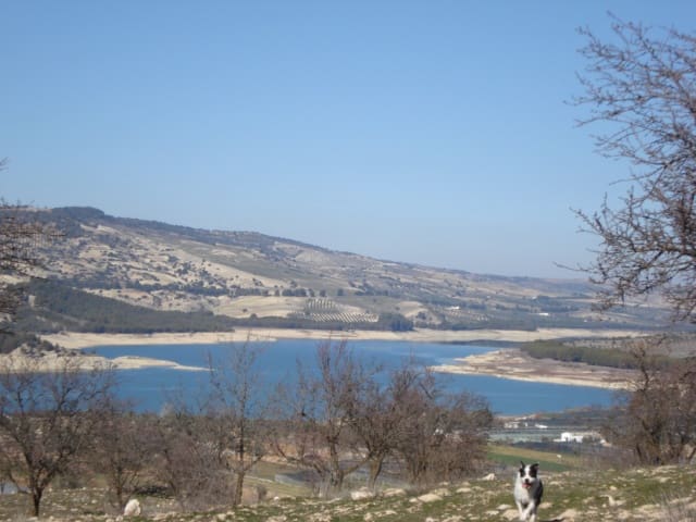 Undeveloped Land for sale in Fornes - € 33,000 (Ref: 10009964)