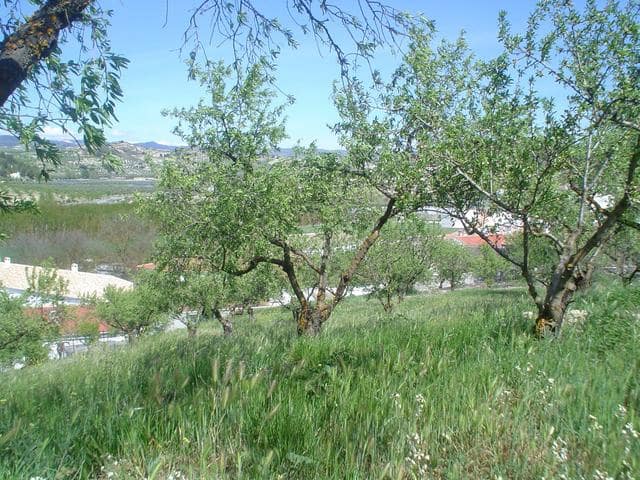Undeveloped Land for sale in Fornes - € 33,000 (Ref: 10009964)