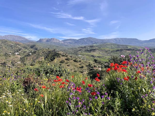 3 chambre Finca/Maison de Campagne à vendre à Riogordo avec garage - 349 000 € (Ref: 10036019)