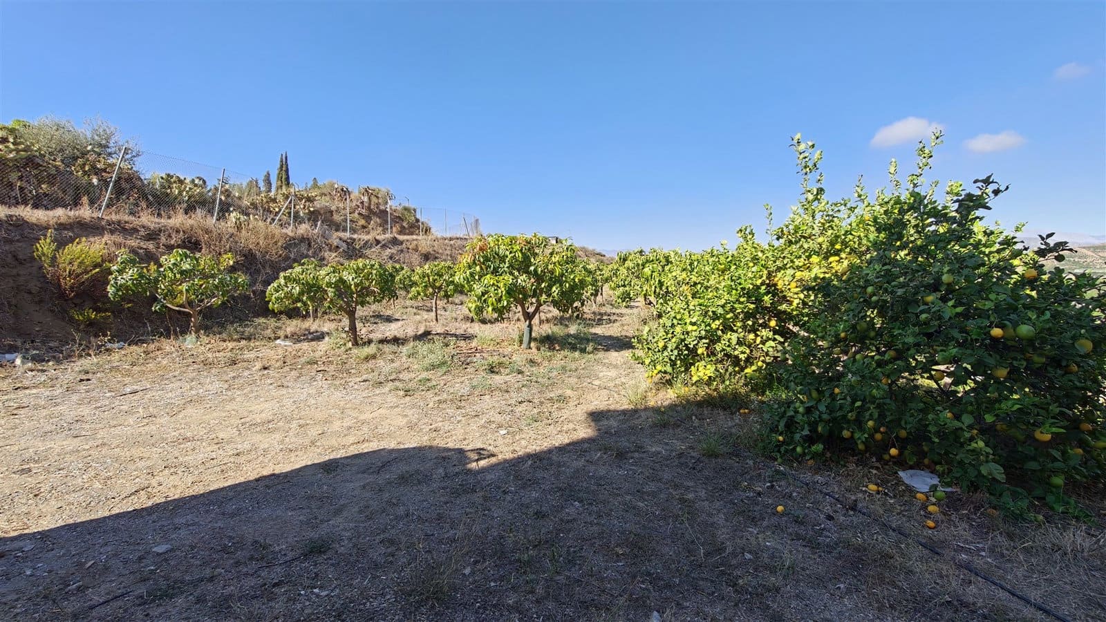 Finca/Landehus til salg i Velez-Malaga - € 395.000 (Ref: 10182149)