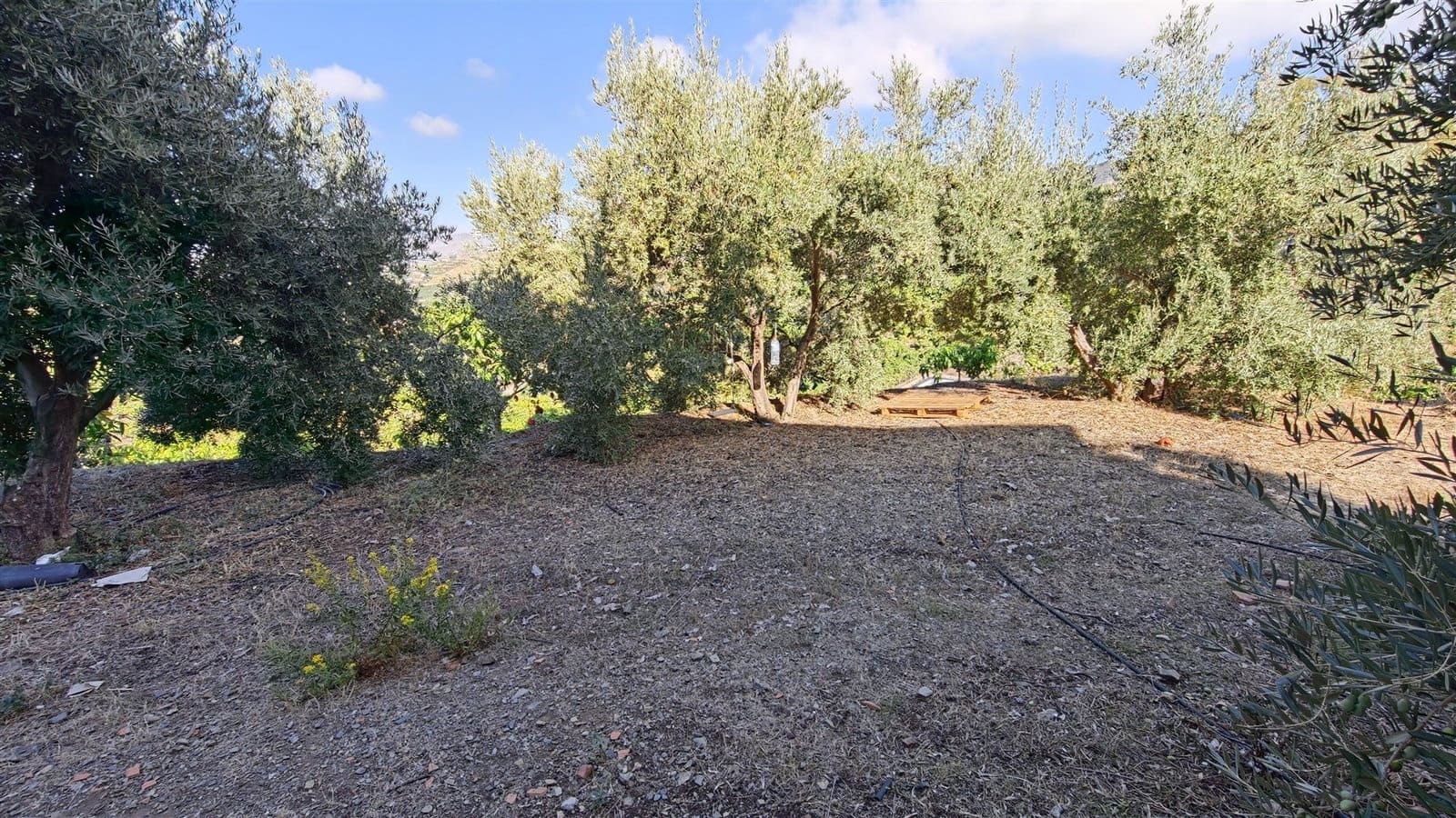 Finca/Landehus til salg i Velez-Malaga - € 395.000 (Ref: 10182149)
