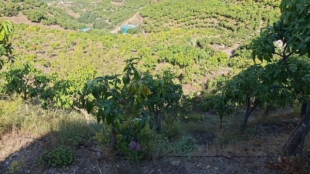 Finca/Landehus til salg i Vélez-Málaga - € 395.000 (Ref: 10182149)