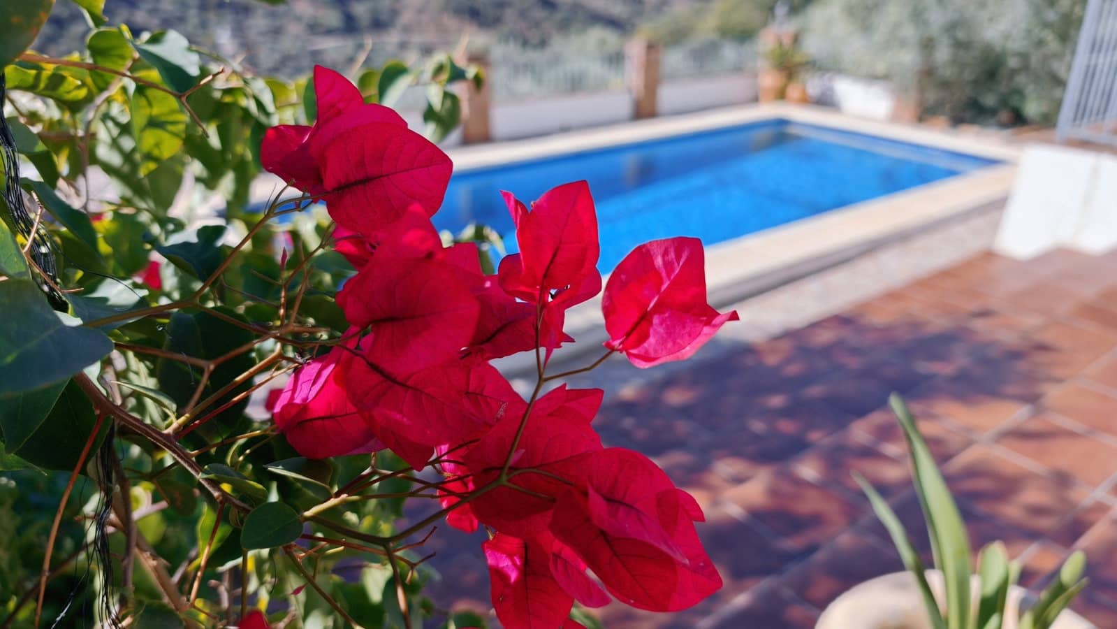 2 quarto Quinta/Casa Rural para venda em Los Ventorros de Comares com piscina - 310 000 € (Ref: 10182150)