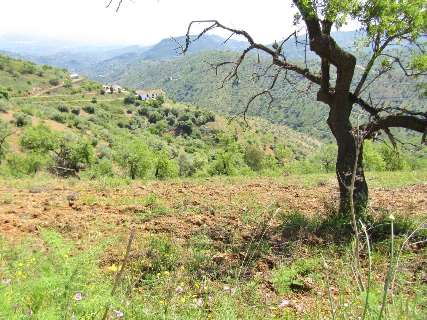 5 soveværelse Finca/Landehus til salg i Colmenar med garage - € 285.000 (Ref: 6084757)