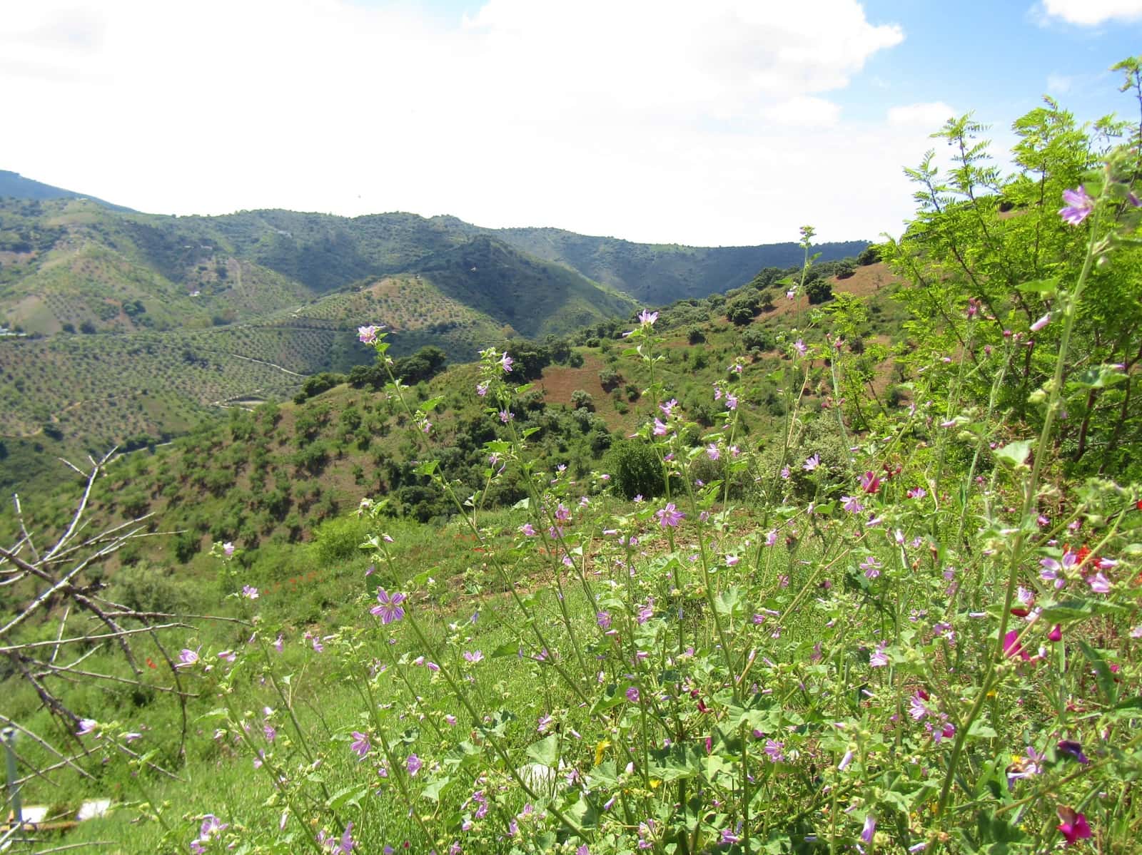 5 soveværelse Finca/Landehus til salg i Colmenar med garage - € 285.000 (Ref: 6084757)