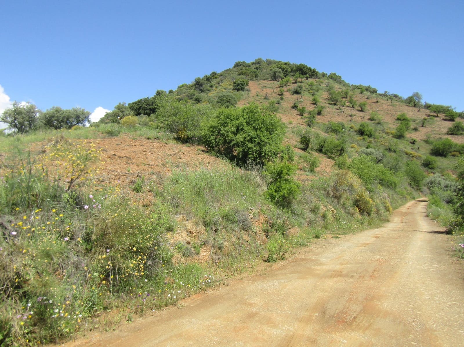 5 soveværelse Finca/Landehus til salg i Colmenar med garage - € 285.000 (Ref: 6084757)