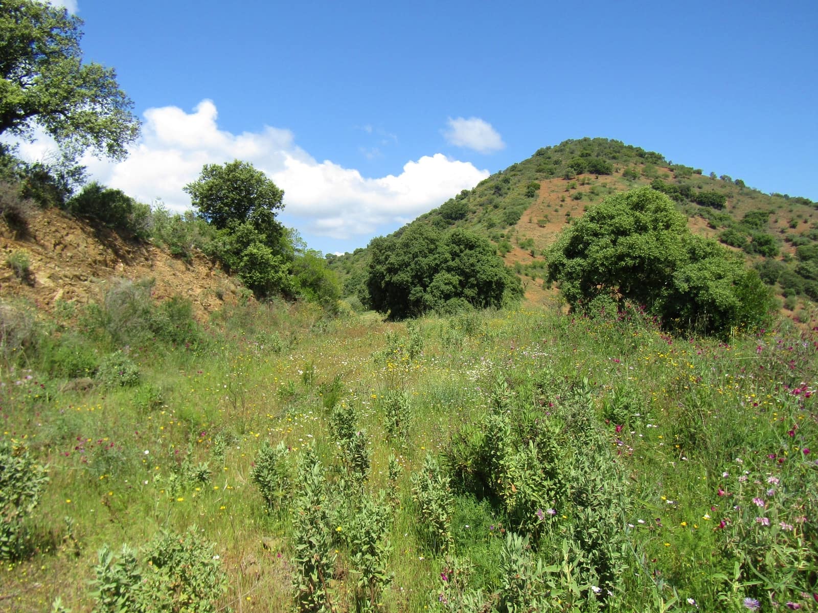 5 soveværelse Finca/Landehus til salg i Colmenar med garage - € 285.000 (Ref: 6084757)