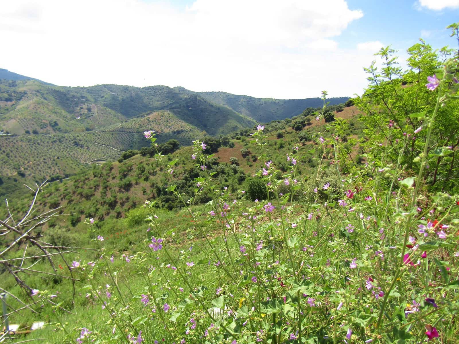 5 quarto Quinta/Casa Rural para venda em Colmenar com garagem - 285 000 € (Ref: 6084757)