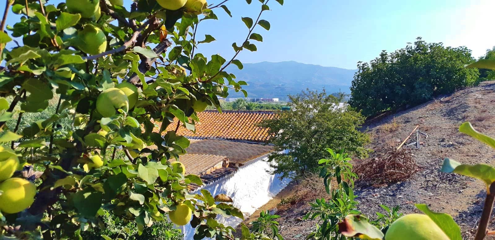 3 camera da letto Finca/Casa di Campagna in vendita in Benamocarra - 389.000 € (Rif: 6406775)