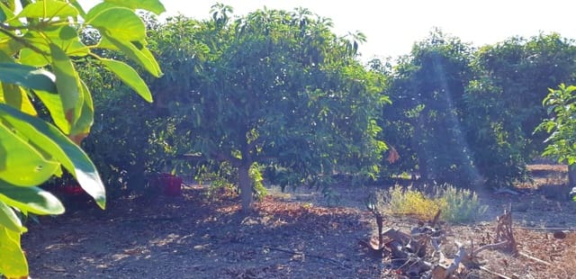 3 camera da letto Finca/Casa di Campagna in vendita in Benamocarra - 389.000 € (Rif: 6406775)