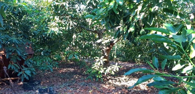 3 camera da letto Finca/Casa di Campagna in vendita in Benamocarra - 389.000 € (Rif: 6406775)