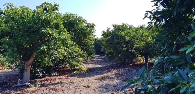 3 camera da letto Finca/Casa di Campagna in vendita in Benamocarra - 389.000 € (Rif: 6406775)