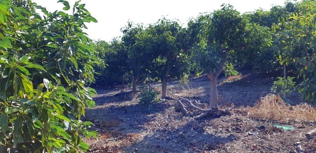 3 camera da letto Finca/Casa di Campagna in vendita in Benamocarra - 389.000 € (Rif: 6406775)