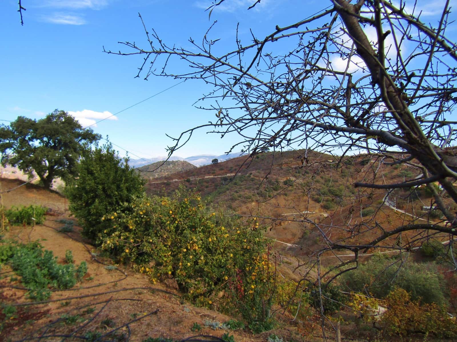 3 soveværelse Finca/Landehus til salg i Comares med garage - € 180.000 (Ref: 6491792)