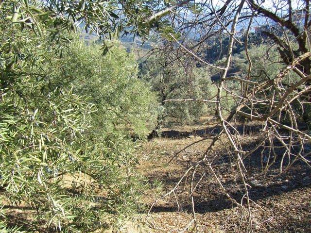 2 soverom Finca/Herregård til salgs i Cútar med garasje - € 107 000 (Ref: 6659918)