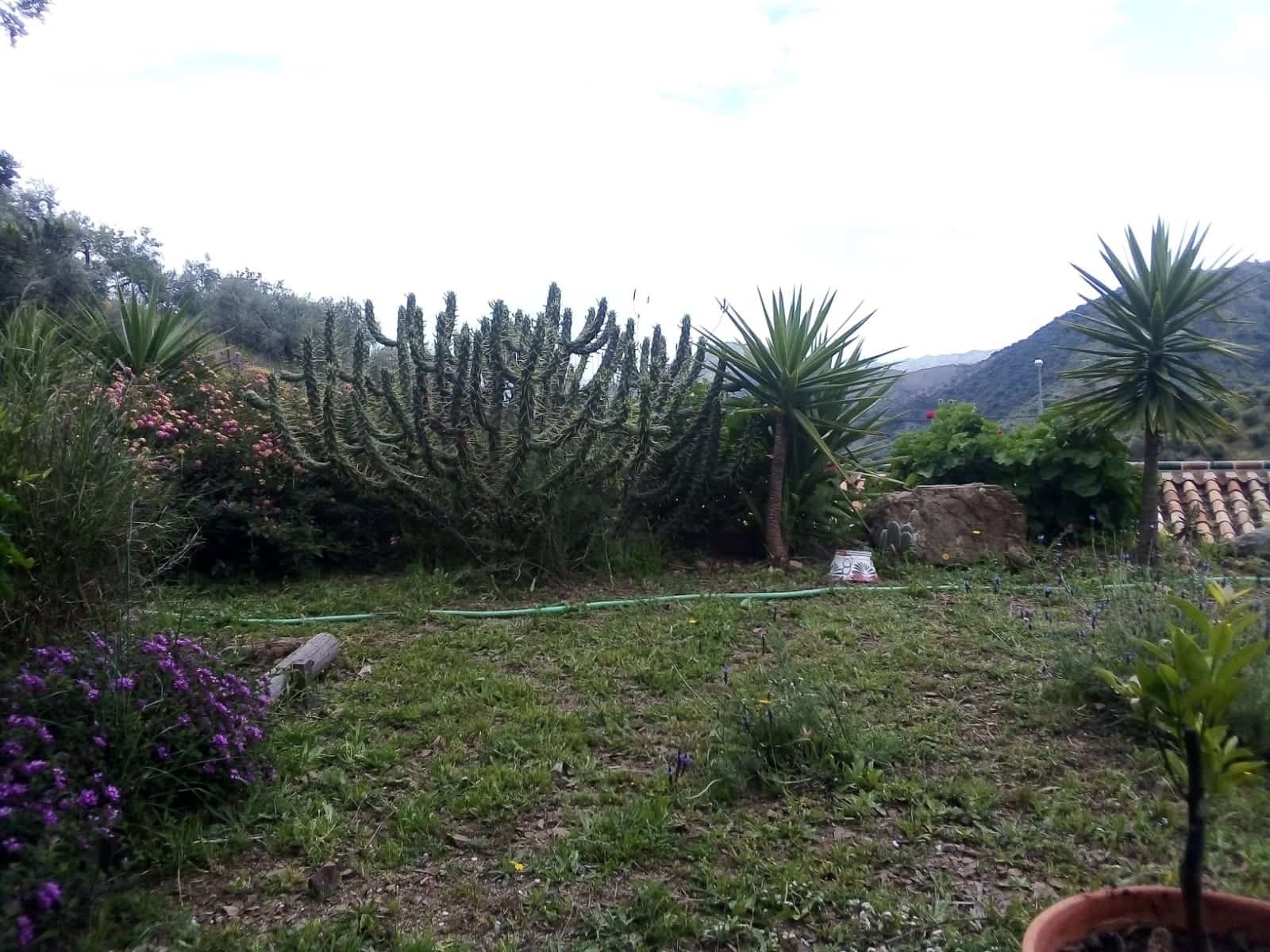 4 soveværelse Finca/Landehus til salg i Rincon de la Victoria med swimmingpool - € 875.000 (Ref: 6897108)