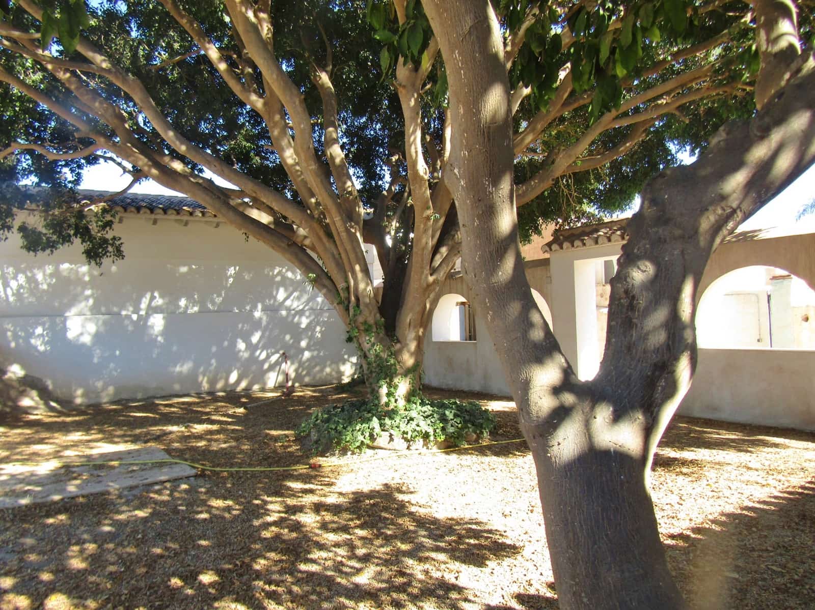 14 soveværelse Finca/Landehus til salg i Caleta de Velez med swimmingpool garage - € 745.000 (Ref: 7136597)