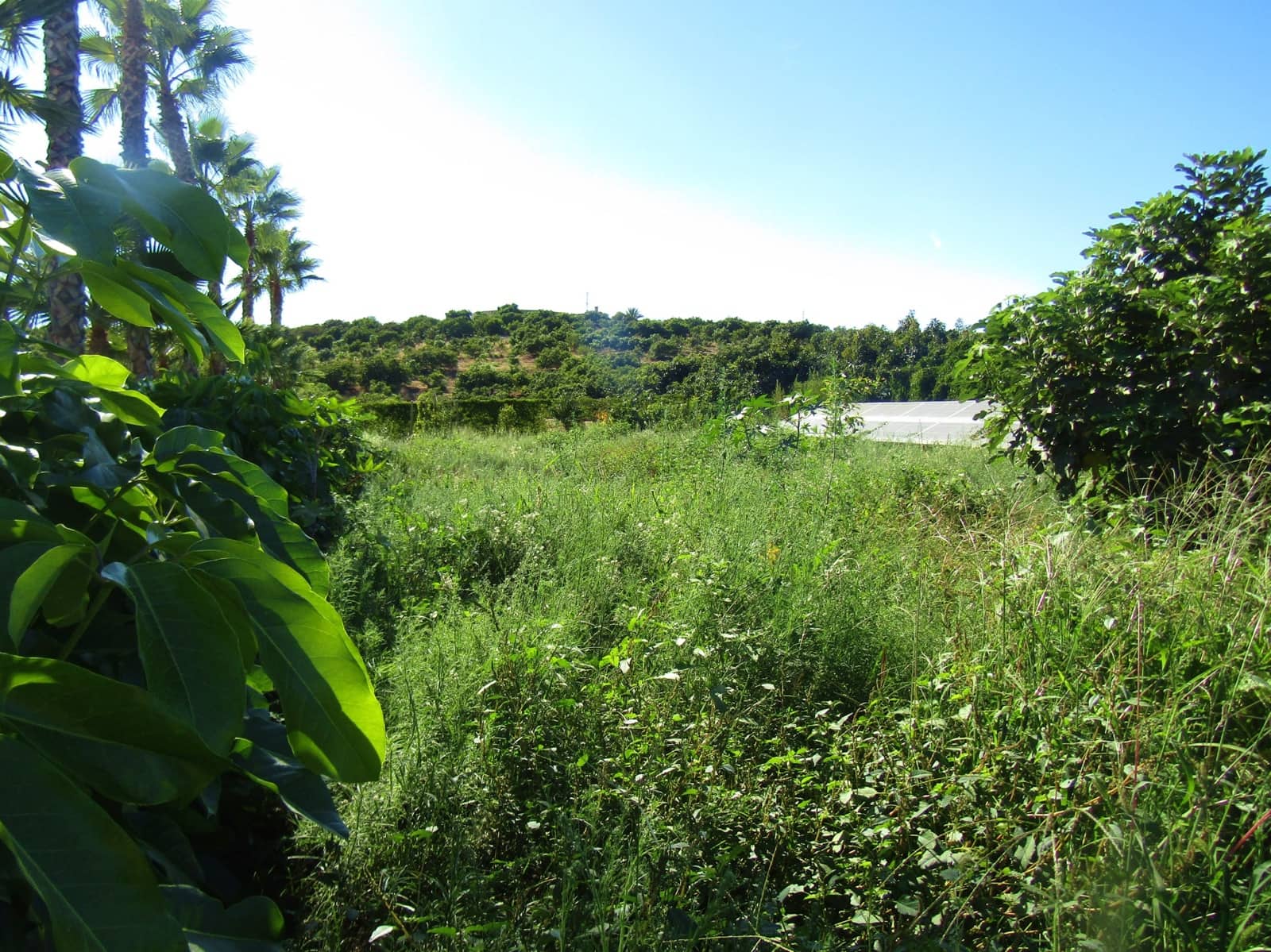 14 soveværelse Finca/Landehus til salg i Caleta de Velez med swimmingpool garage - € 745.000 (Ref: 7136597)