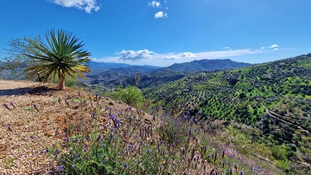 4 soveværelse Finca/Landehus til salg i Colmenar - € 299.995 (Ref: 8159276)