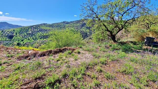 4 soveværelse Finca/Landehus til salg i Colmenar - € 299.995 (Ref: 8159276)