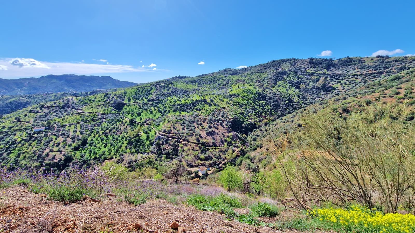 4 soveværelse Finca/Landehus til salg i Colmenar - € 299.995 (Ref: 8159276)