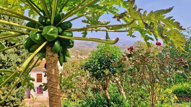 4 sypialnia Finka/Dom wiejski na sprzedaż w Triana, Vélez-Málaga - 280 000 € (Ref: 8251674)