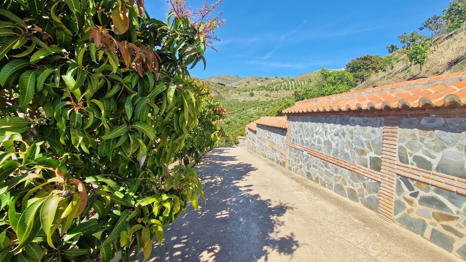 5 sovrum Finca/Hus på landet till salu i Velez-Malaga med pool garage - 695 000 € (Ref: 8372323)