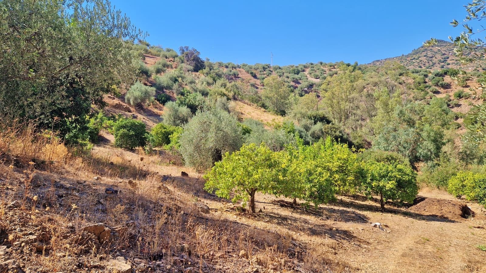 4 soveværelse Finca/Landehus til salg i Comares med swimmingpool garage - € 295.000 (Ref: 8515730)