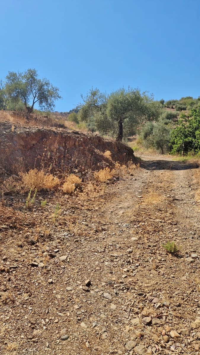 4 soveværelse Finca/Landehus til salg i Comares med swimmingpool garage - € 295.000 (Ref: 8515730)