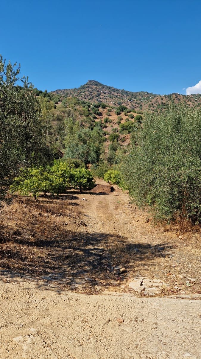 4 soveværelse Finca/Landehus til salg i Comares med swimmingpool garage - € 295.000 (Ref: 8515730)