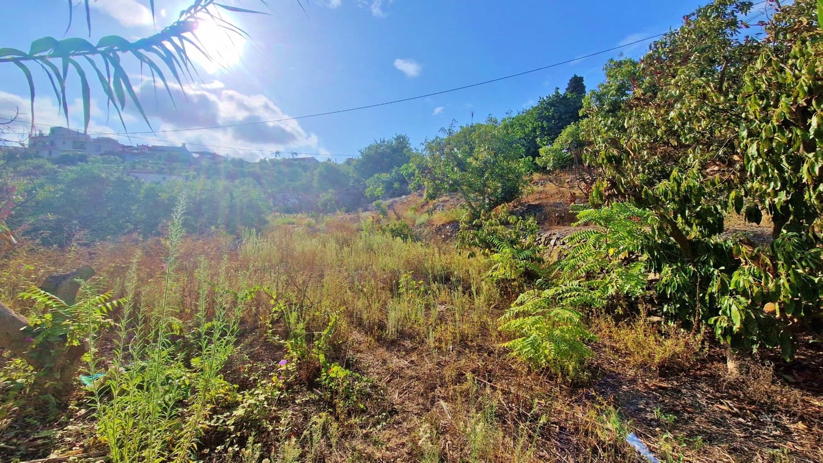 2 soveværelse Finca/Landehus til salg i Vinuela - € 210.000 (Ref: 8558880)