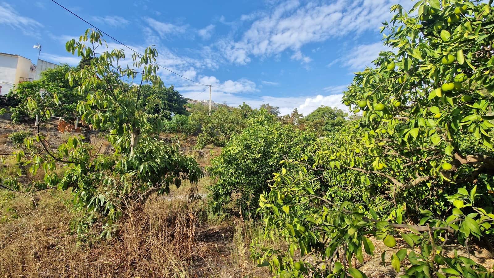 2 soveværelse Finca/Landehus til salg i Vinuela - € 210.000 (Ref: 8558880)