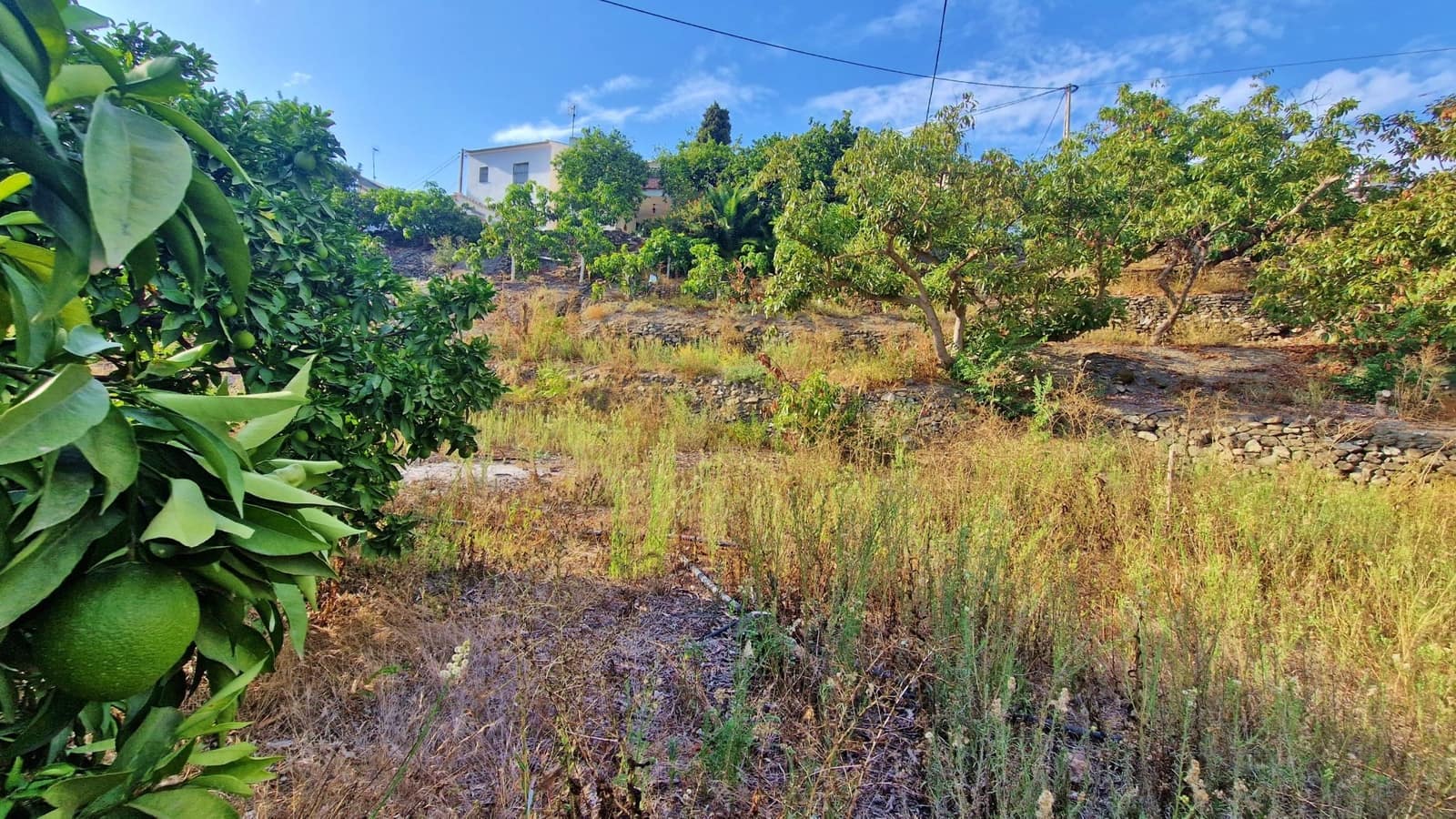 2 soveværelse Finca/Landehus til salg i Vinuela - € 210.000 (Ref: 8558880)