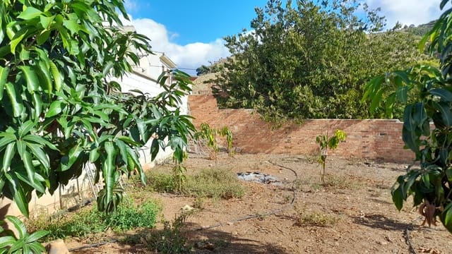 Terreno Non Edificato in vendita in Benamargosa - 65.000 € (Rif: 8568922)