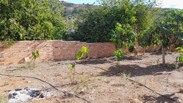 Terreno Non Edificato in vendita in Benamargosa - 65.000 € (Rif: 8568922)