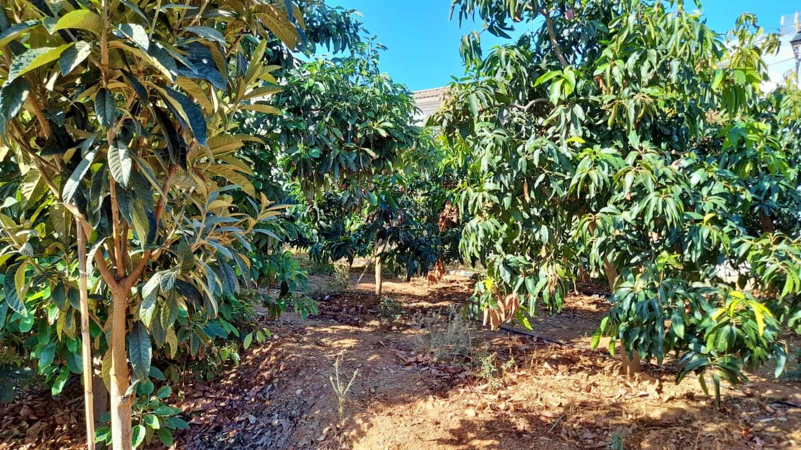 Grunde uden byggetilladelser til salg i Benamargosa - € 65.000 (Ref: 8568922)